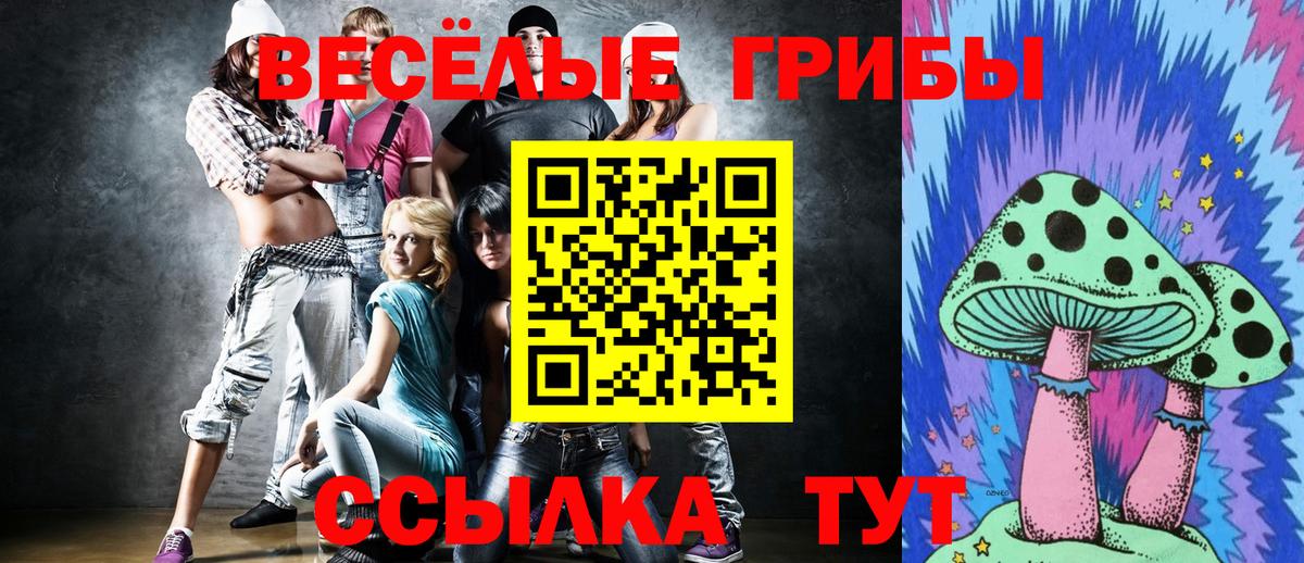 Галлюциногенные грибы Psilocybe  Вход с VPN  Бийск 